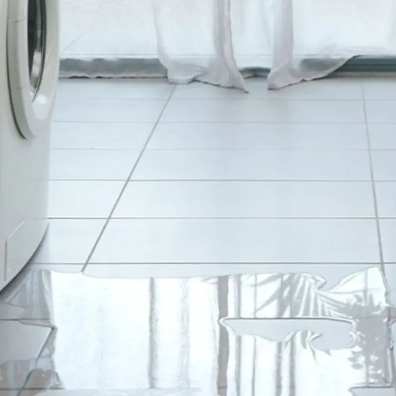 Appliance Leak Cleanup in Los Fresnos, TX
