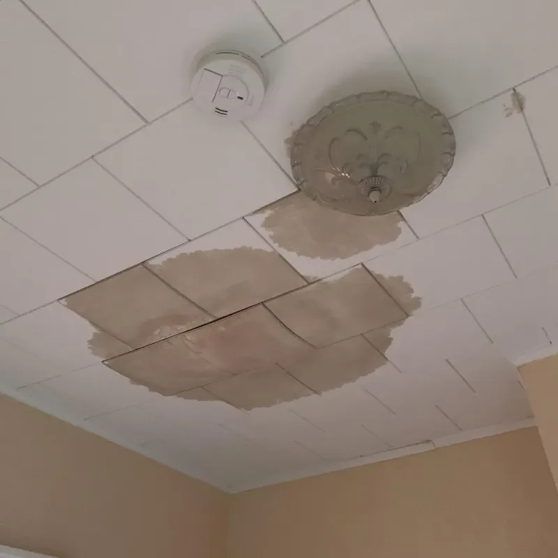 Ceiling Water Damage Repair in Los Fresnos, TX